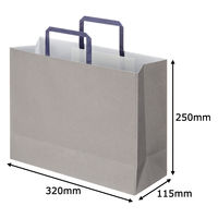 アスクルカタログリサイクル紙袋「Come bag/カムバッグ」平紐 320×250×115mm 1箱（300枚） オリジナル