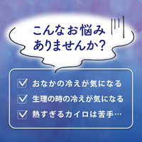 桐灰 命の母カイロ 衣類に貼るタイプ ぬくもりとほのかな香りで心落ち着く 10個入 1ケース（240個：10個入り×24パック） 小林製薬