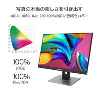 ASUS 24.1インチ ワイド液晶モニタ- PA248QV 1台