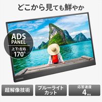 アイ・オー・データ機器 15.6インチ モバイルモニター LCD-CF161XDB-M 1台（直送品）