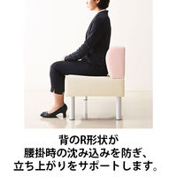 アスプルンド らくらくベンチ 耐アル・耐次亜塩素PVC グリーン 281940 1台 幅1500mm 2人掛け ロビーチェア 待合室ソファ 長椅子