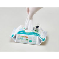 【口腔ケアウェットシート】 口腔ケア ハクゾウメディカル 爽快お口すっきりウエットシート ミント風味 1パック（50枚入）