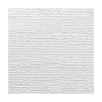 カセン和紙工業 生のリ付き壁紙 KN-1505 1個（直送品）