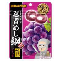 グミ お配り菓子 忍者めし鋼 グレープ 1セット（1個×20）