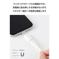 USB-C マグネット 変換アダプタ 100W PD対応 着脱式コネクタ ホワイト MPA-CECMAADWH エレコム 1個（直送品）