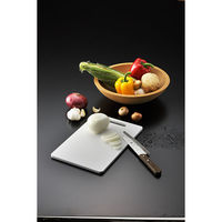 リス 抗菌まな板S GITA001 1セット(2個)（直送品）