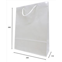 マツシロ 無地ビニールカバーバッグ 10枚入り 62BC2 1セット(2パック)（直送品）