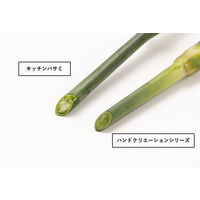 坂源 ハンドクリエーションF-180 ライムグリーン 箱入 2143 1丁（直送品）