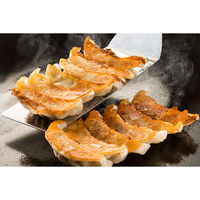 キングマカデミアンJAPAN 特選浜松餃子VS宇都宮餃子(30個) G911515 1個（直送品）