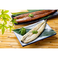 キングマカデミアンJAPAN 浜松浜名湖うなぎ蒲焼白焼2人前 U910011 1個（直送品）