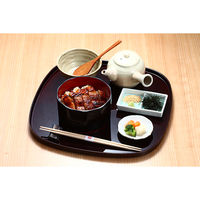 キングマカデミアンJAPAN 浜松浜名湖うなぎ茶漬け4人前 U910400 1個（直送品）