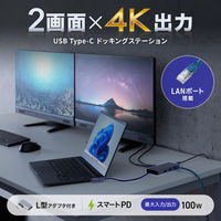 サンワサプライ USB TypeーC ドッキングステーション USB-DKM8S 1個