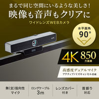 サンワサプライ 会議用ワイドレンズカメラ CMS-V52S 1個