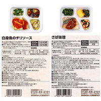 ニチレイフーズ [冷凍] ニチレイ きくばりごぜん 糖・塩・脂に配慮 9種セット(各1個) なし 1セット(9種計9個)（直送品）