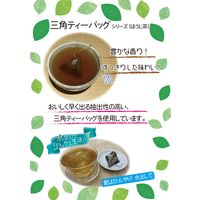 国太楼 豊かな香り ほうじ茶 三角ティーバッグ 1個（20バッグ入）