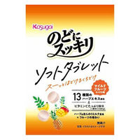 のど飴 キャンディ のどにスッキリ　ソフトタブレット　マイルドフルーツミックス 20g 1セット（1個×12）