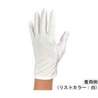 ウインセス 防塵手袋 シリコンコーティング高防塵タイプ M 1袋(12双入) * 1袋 69-4693-23（直送品）