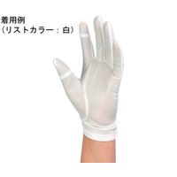 ウインセス 防塵手袋 タッチパネル対応 SS 1袋(10双入) * 1袋 69-4693-26（直送品）