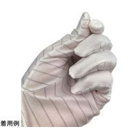 ウインセス 防塵手袋 静電気対策 ロングタイプ S 1袋(10双入) * 1袋 69-4693-68（直送品）