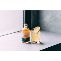 CityCamp OFF LEMON レモネード レモンシロップ 希釈用 300ml 1本