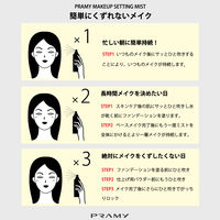 PRAMY(プラミー) メイクアップセッティングミスト（マットタイプ） 100ml