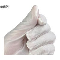 ウインセス 防塵手袋 ロングタイプ LL 1袋(10双入) * 1袋 69-4692-88（直送品）
