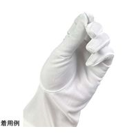 ウインセス ナイロン 礼装用手袋 LL 1袋(10双入) * 1袋 69-4691-83（直送品）