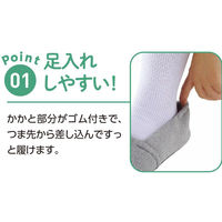 ディーエーピーネットワーク あゆみエスパド スリッパ ブルー LL(25.0~26.0) W0180055843 1枚（直送品）