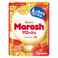 グミ 食べきりサイズ カンロ マロッシュアップルサイダー味 46g 1セット（1個×6）
