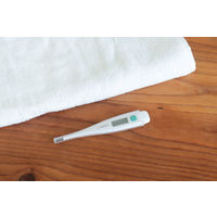 電子体温計 ホワイト TOー207WT 1個 ドリテック