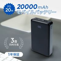 オウルテック 20000mAhモバイルバッテリー PD20W A×1/C×2 OEC-LPB20028-GY 1個