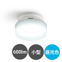 アイリスオーヤマ 小型シーリングライト 高効率 600lm 昼光色 SCL6D-H 1台