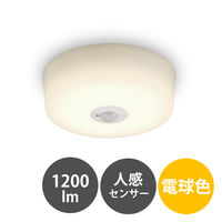 アイリスオーヤマ 小型シーリングライト 高効率 1200lm 電球色 人感センサー付き SCL12L-MS-H 1台