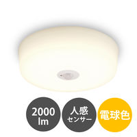 アイリスオーヤマ 小型シーリングライト 高効率 2000lm 電球色 人感センサー付き SCL20L-MS-H 1台