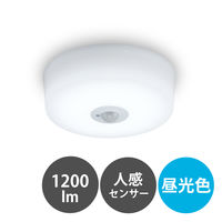 アイリスオーヤマ 小型シーリングライト 高効率 1200lm 昼光色 人感センサー付き SCL12D-MS-H 1台