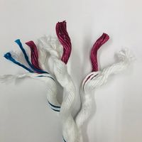 エスコ 18mmx100m 親綱ロープ(法面専用/シグナル) EA998MB-300 1巻（直送品）