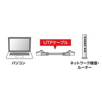 エスコ 5 m LANケーブル(CAT6/つめ折れ防止/ライトグレー) EA764BB-245A 1本（直送品）