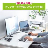 エスコ USB2.0 USB切替器(2回路/マグネット付) EA764AD-203A 1個（直送品）