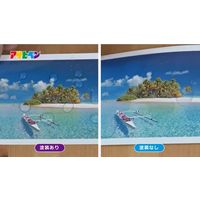 エスコ 300ml 写真保護スプレー(インクジェット印刷対応) EA942CZ-1A 1本（直送品）