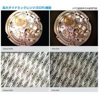 エスコ x20~x220 マイクロスコープ(Wifi対応/偏光付) EA755CB-21 1個（直送品）