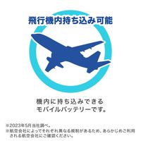 エスコ 20100mAh モバイルバッテリー(USB PD対応) EA758YK-632 1個（直送品）