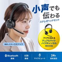 エスコ Bluetoothヘッドセット(クレードル付/両耳/デュアルマイク EA763BC-242 1個（直送品）