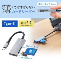 エスコ USB3.2 カードリーダー(Type C) EA764A-195 1個（直送品）