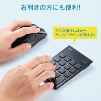 エスコ [単4x2本] ワイヤレスマウス(BlueLED/静音/左手) EA764AA-222 1個（直送品）