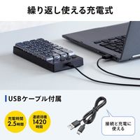 エスコ 82x166x26mm ワイヤレステンキーボード(プログラミング) EA764AB-249 1個（直送品）