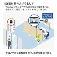 エスコ 200万画素 WEBカメラ(ワイヤレス) EA764AW-29 1個（直送品）