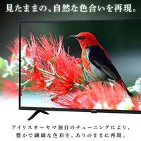 エスコ 32V型 デジタルハイビジョン液晶テレビ EA763AA-121D 1台（直送品）