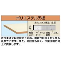 エスコ 750x600x900mm/50kg ワークテーブル(折畳式) EA956SA-1 1台（直送品）