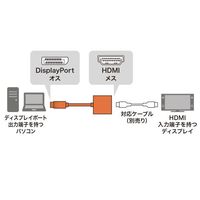 エスコ [DisplayPortーHDMI] 変換アダプター EA940PR-25 1個（直送品）