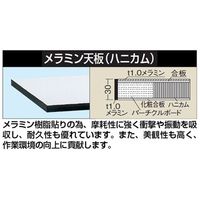 エスコ 1800x750x660ー1110mm/100kg 作業台(電動式) EA956SA-73 1台（直送品）